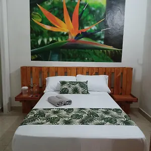 El Jardin Guest house Envigado